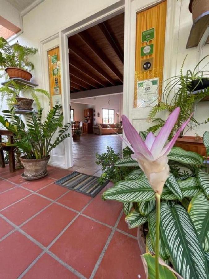 Villa Caribbean Dream Vieux Fort Exterior photo