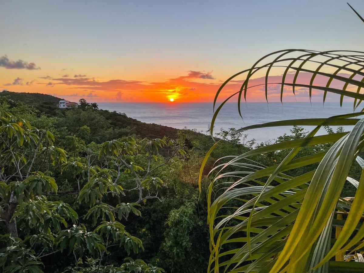 Villa Caribbean Dream Vieux Fort Exterior photo