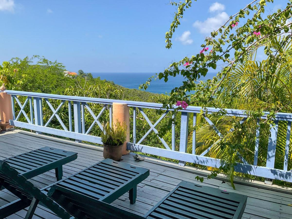 Villa Caribbean Dream Vieux Fort Exterior photo